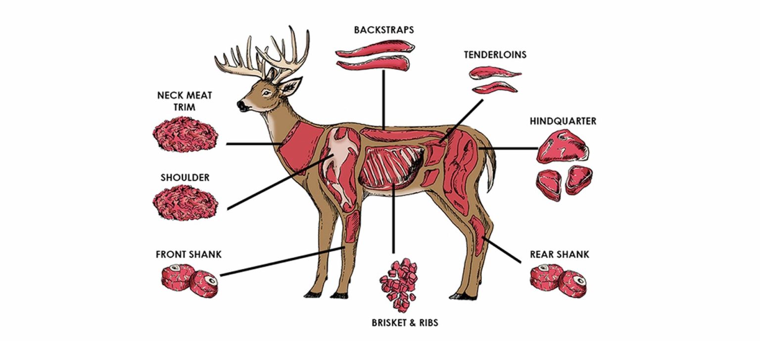 is venison healthier than turkey